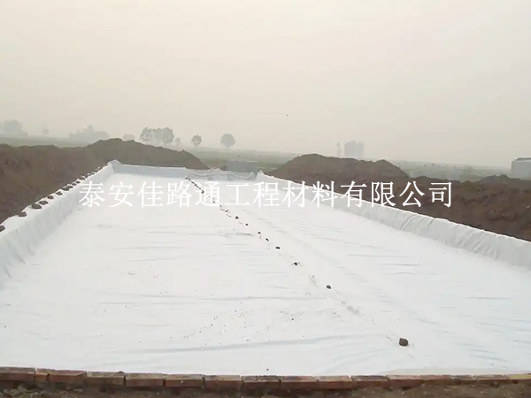 復(fù)合土工膜:水產(chǎn)養(yǎng)殖的新守護(hù)者 復(fù)合土工膜:水產(chǎn)養(yǎng)殖的新守護(hù)者